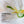 Babor Soul & Room Fragrance Grounding