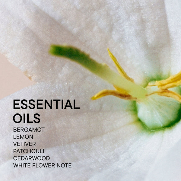 Babor Soul & Room Fragrance Grounding