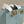 FRID Øredobber – Chunky pearl