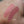 Frid Lipstick