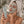 FRID Clay Mask